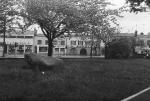 1984 - Photo - Lr Main Street from Park